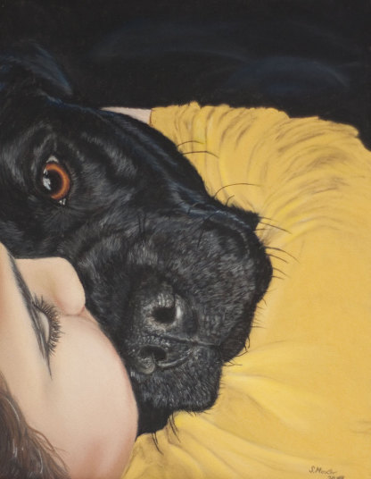 Hundezeichnung, Hundeportrait, dogportrait